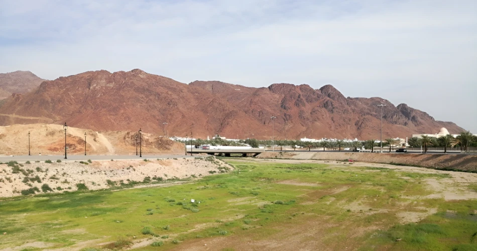 Madinah Downtown Half-Day Tour