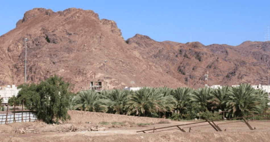 How to Spend 48 Hours in Medina – Travel Guide